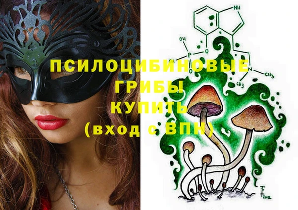 таблы Белокуриха