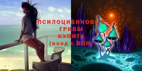 таблы Белокуриха