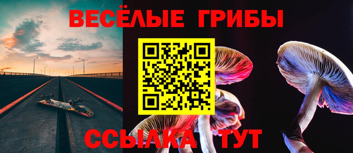 Псилоцибиновые грибы GOLDEN TEACHER Воскресенск